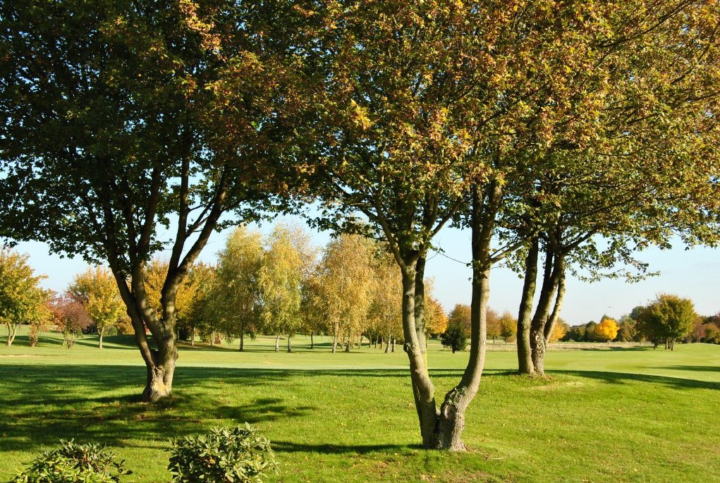 Les espaces verts publics