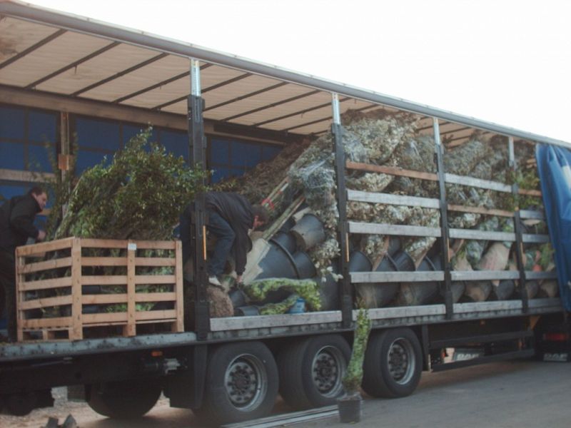 Unloading cargo Italy